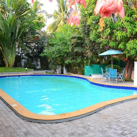 Villa Samaara3 Condolim Goa 500Mts From Beach Candolim Exteriér fotografie